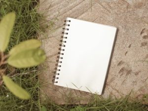 Read more about the article Elevate Your Outdoor Space-Feng Shui Ideas for Your Garden