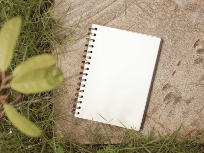You are currently viewing Elevate Your Outdoor Space-Feng Shui Ideas for Your Garden