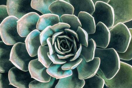 You are currently viewing Elevate Your Outdoor Space-Feng Shui Ornaments for a Balanced Garden