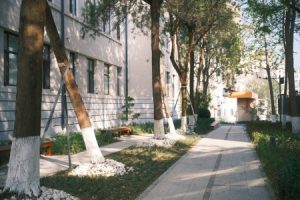 Read more about the article Elevate Your Outdoor Space-Feng Shui Tips for a Peaceful Garden