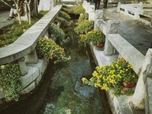Read more about the article Energize Your Outdoor Space-Feng Shui Ornaments for Your Garden