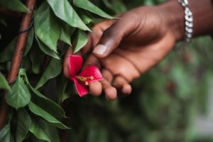 Read more about the article Enhance Your Garden with Feng Shui Energy-Ornaments for Outdoor Serenity