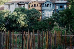 Read more about the article Enhance Your Garden’s Energy-Best Feng Shui Ornaments for Outdoor Spaces