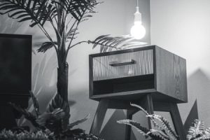 Read more about the article Enhance Your Home’s Energy-Top Feng Shui Ornaments for Living Spaces