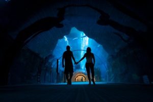 Read more about the article Enhance Your Love Life-Feng Shui Energy Ornaments to Attract Romance