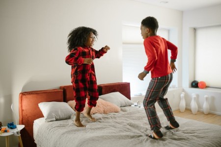 You are currently viewing Enhancing Family Harmony-The Role of Feng Shui Energy Ornaments in Your Home
