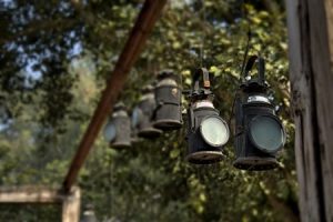 Read more about the article Enhancing Your Garden with Feng Shui Energy Ornaments