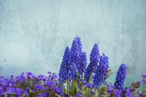 Read more about the article Enhancing Your Garden\’s Energy-Feng Shui Ornaments for Outdoor Spaces