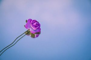 Read more about the article Enhancing Your Garden’s Energy-Feng Shui Ornaments for Outdoor Spaces