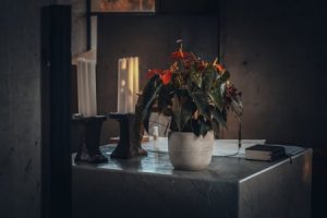 Read more about the article Enhancing Your Living Space-The Best Feng Shui Items for European Homes