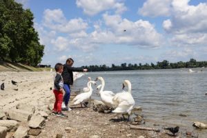 Read more about the article Essential Feng Shui Items for a Balanced Family Environment