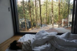 Read more about the article Essential Feng Shui Items for Creating a Peaceful Bedroom Environment