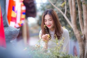 Read more about the article Essential Feng Shui Items for New Homeowners Seeking Harmony