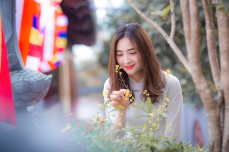 You are currently viewing Essential Feng Shui Items for New Homeowners Seeking Harmony