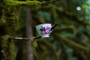 Read more about the article Essential Feng Shui Ornaments for a Balanced Home Environment