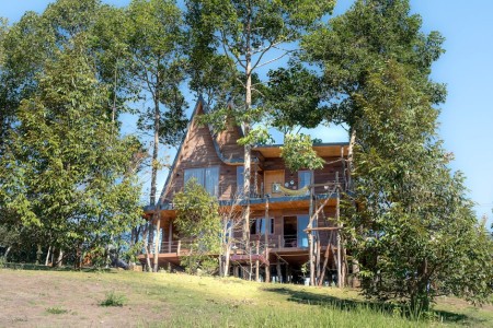 You are currently viewing Essential Feng Shui Ornaments for Creating a Balanced Home Environment