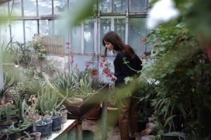 Read more about the article Exploring the Benefits of Energy Ornaments for Personal Growth