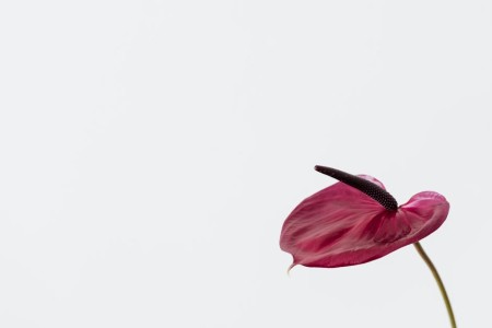 You are currently viewing Feng Shui Energy Ornaments-Boost Your Love Life with These Simple Tips