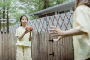 Read more about the article Feng Shui Energy Ornaments for a Balanced Family Life-What You Need to Know