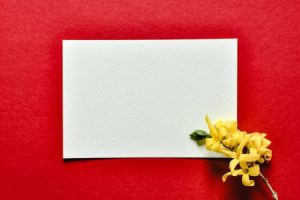Read more about the article Feng Shui Energy Ornaments for Beginners-A Simple Guide to Balance Your Space