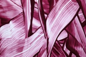 Read more about the article Feng Shui Energy Ornaments for Enhancing Creativity and Inspiration