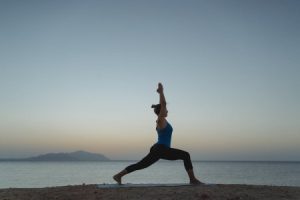Read more about the article Feng Shui Energy Ornaments for Health-Create a Wellness Sanctuary