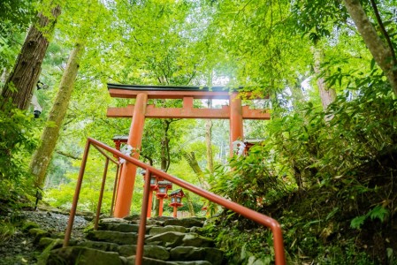 You are currently viewing Feng Shui Energy Ornaments for New Homeowners-What to Prioritize