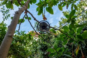 Read more about the article Feng Shui Energy Ornaments-Your Guide to Creating a Balanced Home Environment