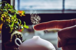 Read more about the article Feng Shui Essentials-Energy Ornaments for a Harmonious Home Environment