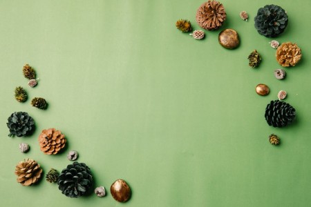 You are currently viewing Feng Shui for Beginners-Choosing the Right Ornaments for Your Space