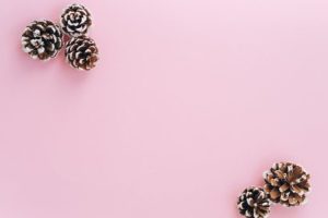 Read more about the article Feng Shui for Beginners-Essential Ornaments to Harmonize Your Space