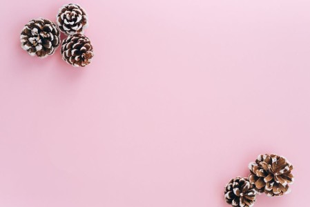 You are currently viewing Feng Shui for Beginners-Essential Ornaments to Harmonize Your Space