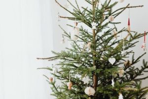 Read more about the article Feng Shui for Beginners-Simple Ornaments to Get Started
