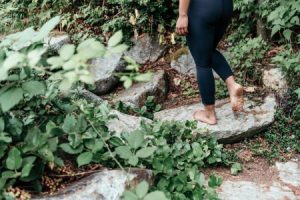Read more about the article Feng Shui for Beginners-Simple Ornaments to Start Your Journey to Balance
