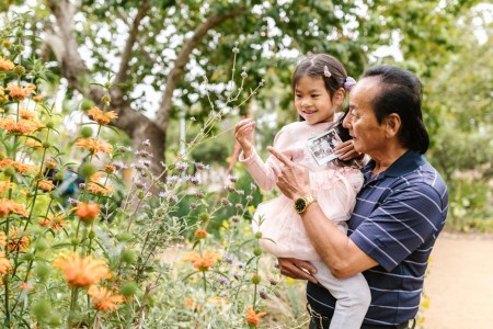 You are currently viewing Feng Shui for Families-Creating a Supportive Environment for Children