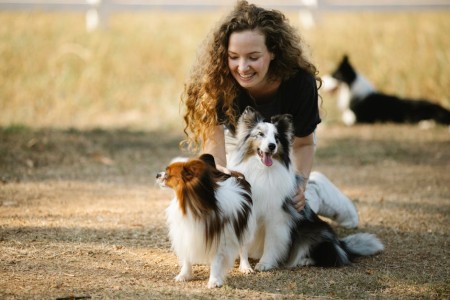 You are currently viewing Feng Shui for Families-Ornaments to Foster Connection and Joy