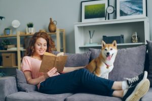 Read more about the article Feng Shui for Pets-Ornaments to Create a Harmonious Home for Animals