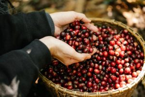 Read more about the article Feng Shui Ornaments-Essential Tips for Seasonal Energy Cleansing