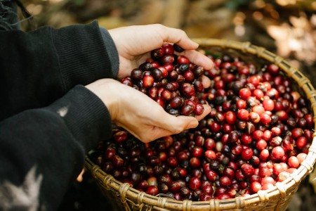 You are currently viewing Feng Shui Ornaments-Essential Tips for Seasonal Energy Cleansing