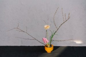 Read more about the article Feng Shui Ornaments for a Balanced and Stress-Free Home