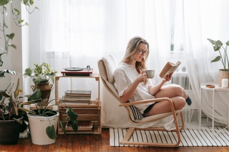 You are currently viewing Feng Shui Ornaments for a Stress-Free Home-What You Need to Know