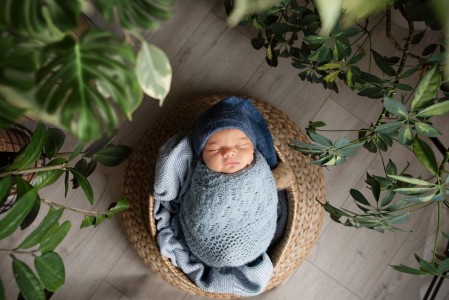 You are currently viewing Feng Shui Ornaments for Families-Creating a Peaceful Home Environment