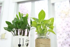 Read more about the article Feng Shui Ornaments for Kids’ Rooms-Creating a Positive Environment for Growth