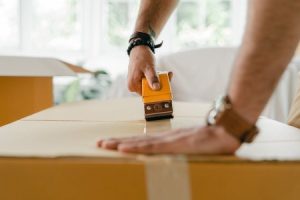 Read more about the article Feng Shui Ornaments for New Homeowners-What You Need to Know