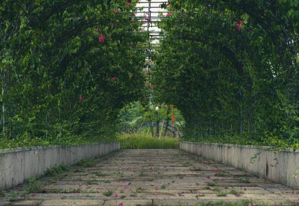 You are currently viewing Feng Shui Ornaments for Outdoor Spaces-Enhancing Your Garden\’s Vibe