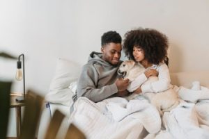 Read more about the article Feng Shui Ornaments for Pet Owners-Creating Harmony for You and Your Pets