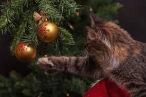 Read more about the article Feng Shui Solutions-How to Use Energy Ornaments to Improve Relationships