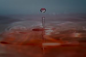 The Impact of Feng Shui Ornaments on Mental Clarity and Focus