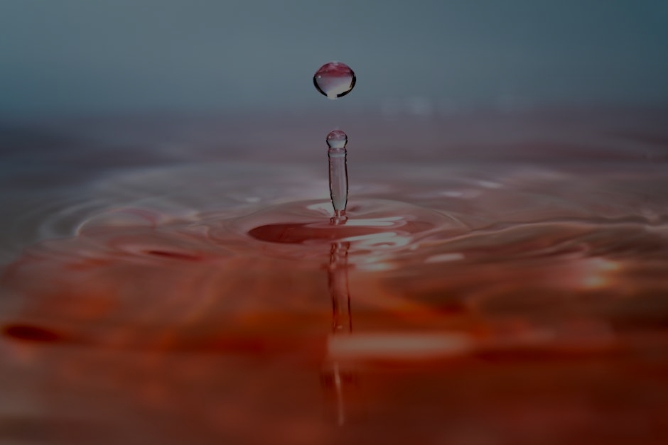 The Impact of Feng Shui Ornaments on Mental Clarity and Focus