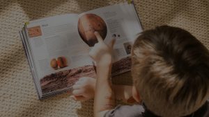The Science Behind Feng Shui-How Ornaments Affect Your Space